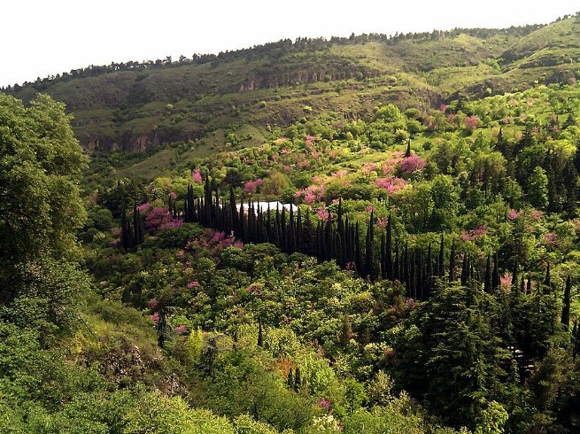 Qinling National Botanical Garden, China